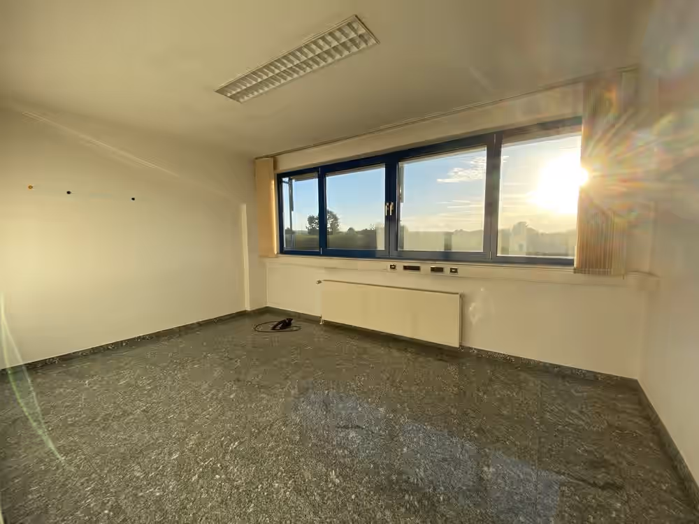 Heller Büroraum mit Fensterfront